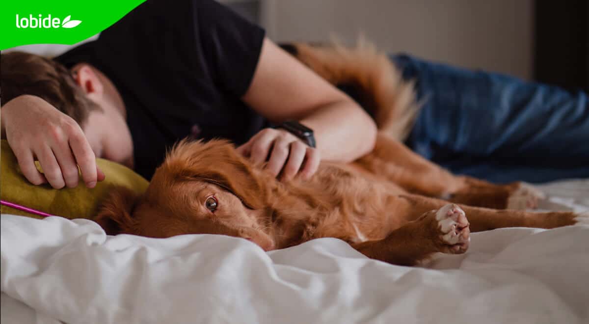 posturas para dormir bien y despertar sin dolencias